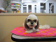 IMG_0093[1]_thumb.png